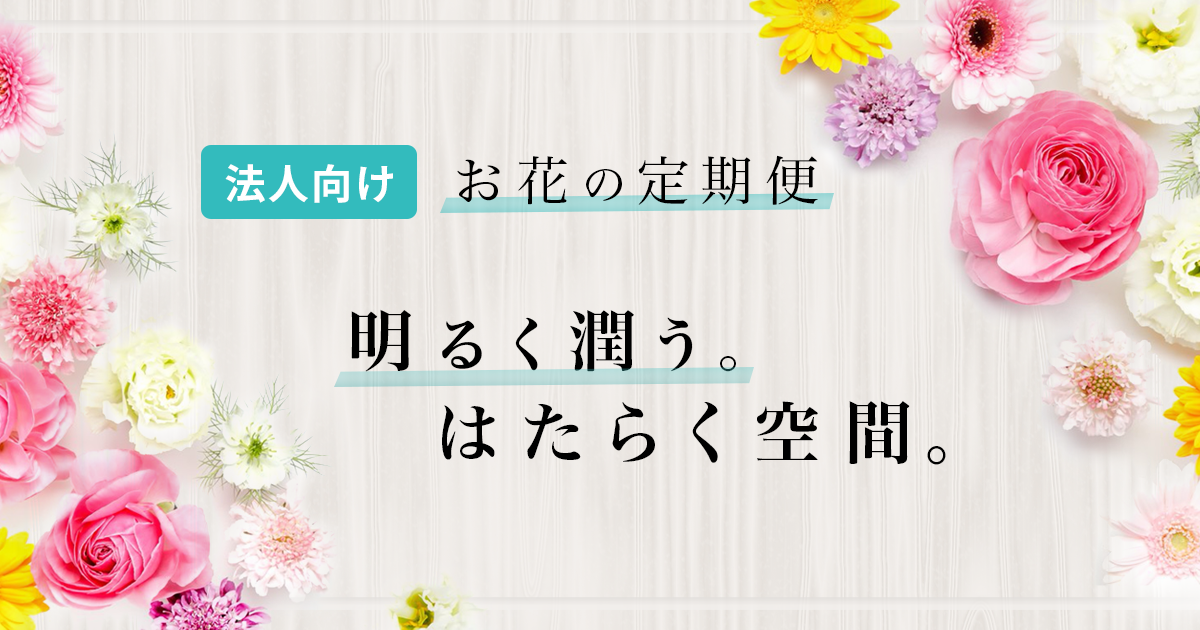 法人向けお花の定期便 Bloomee Biz ブルーミービズ
